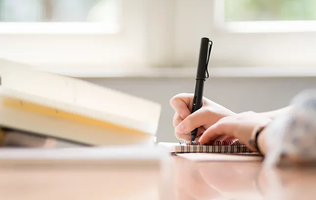 双系统学习：督学 + 自学，双轮驱动