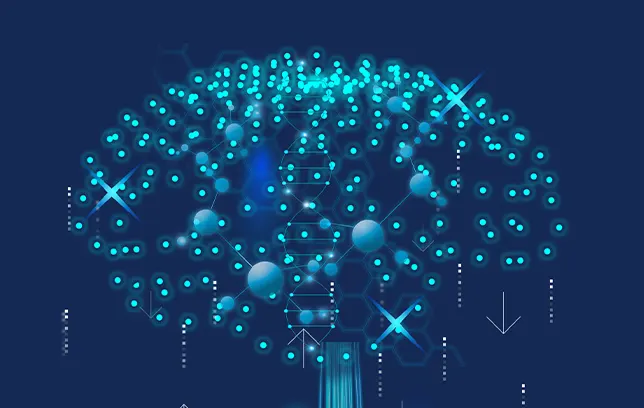 科学记忆 + 技术支撑，让学习有依据